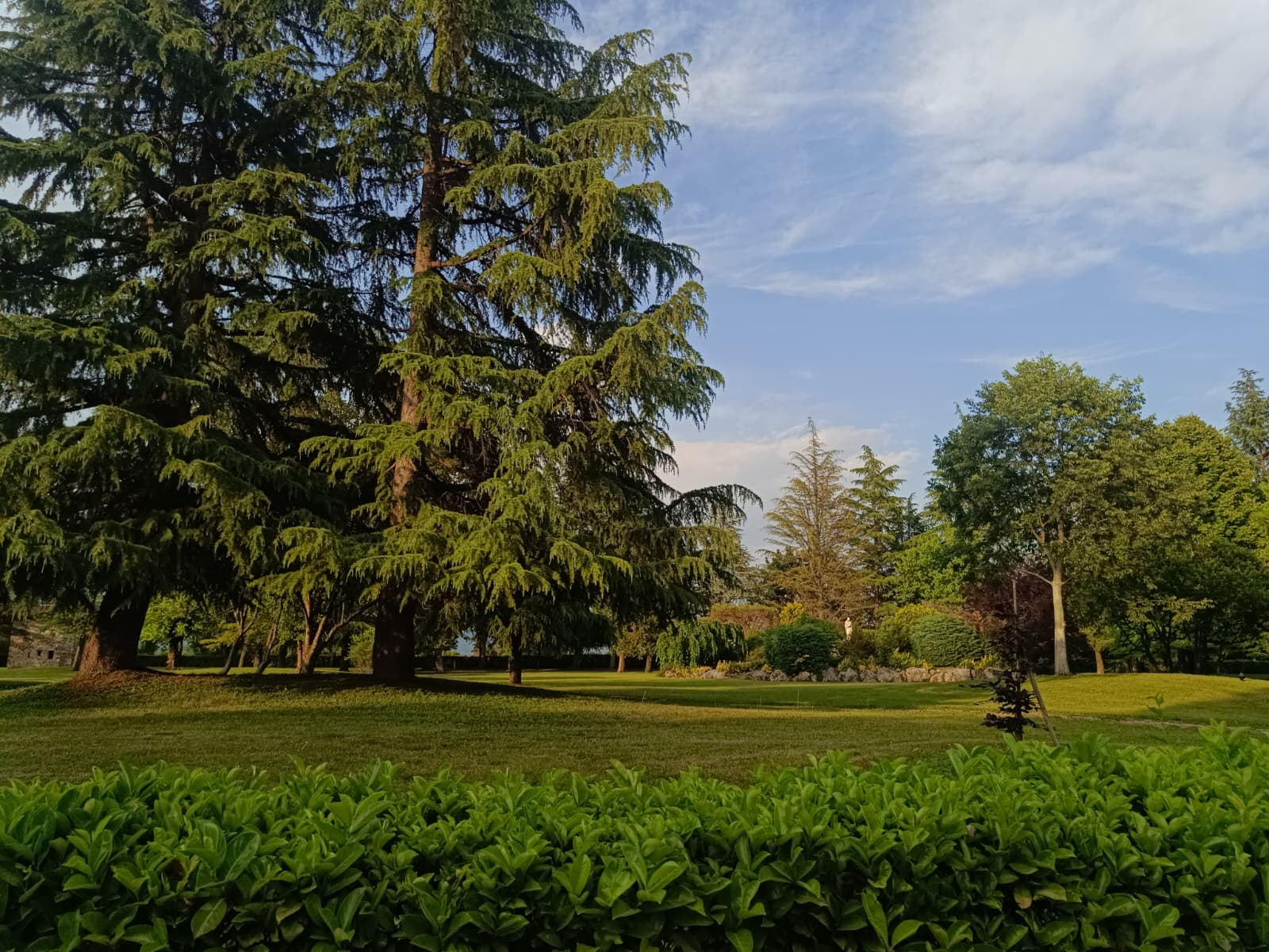 Autogestione